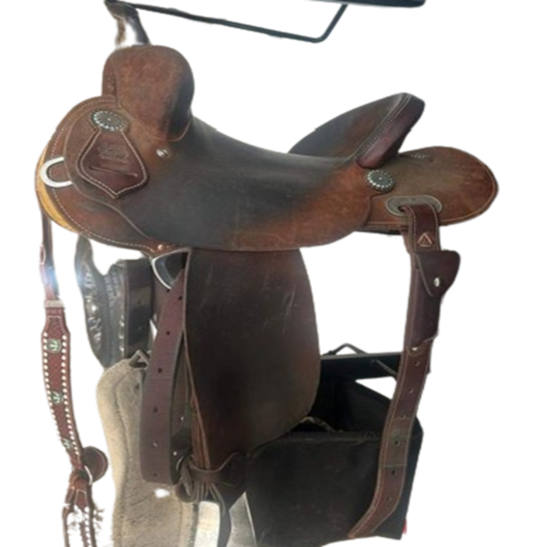 Buy 14 Fairely Used Burns saddle