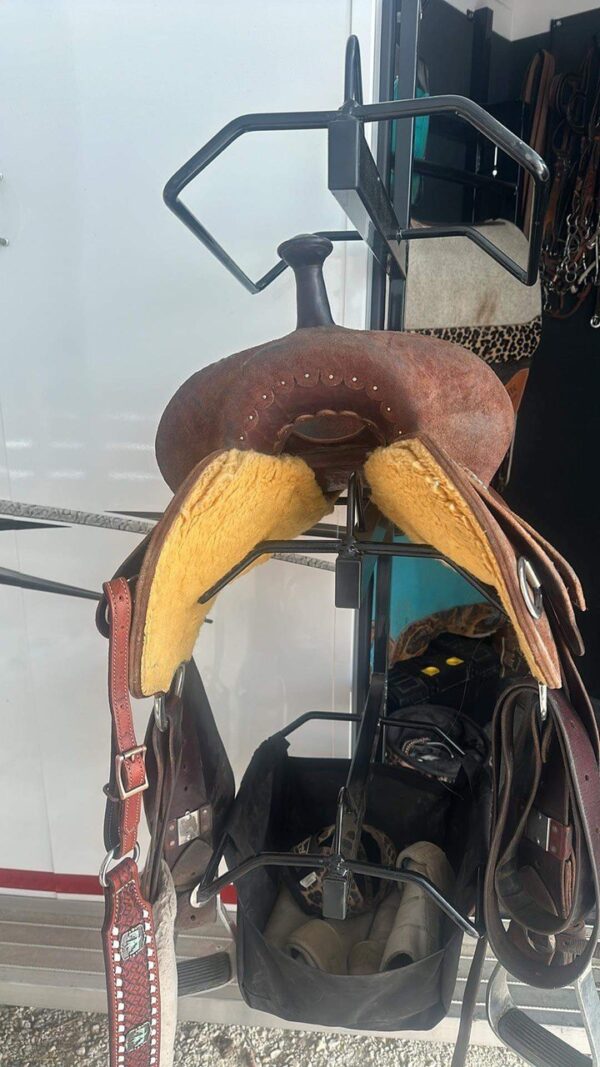 Buy 14 Fairely Used Burns saddle