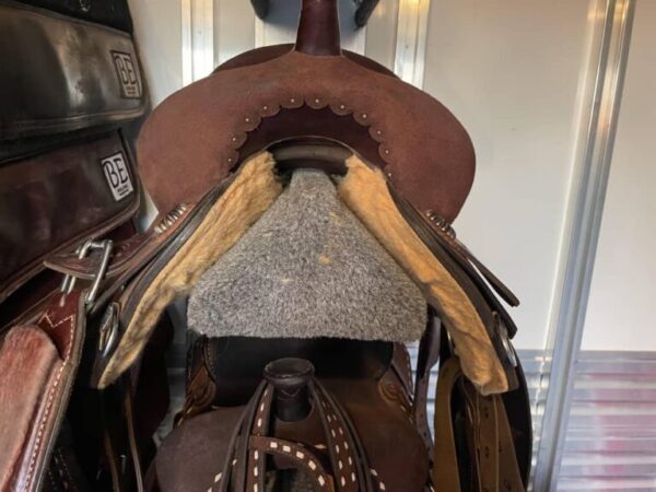 Buy 14 Used Robbie Philips Saddle Online