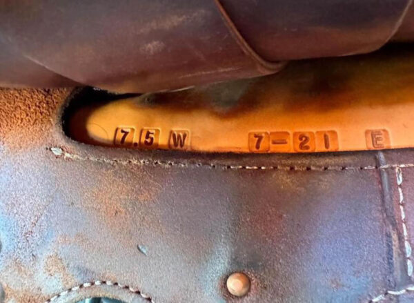 14 Used Robbie Philips Saddle