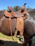 Buy 14 Used Robbie Philips Saddle Online