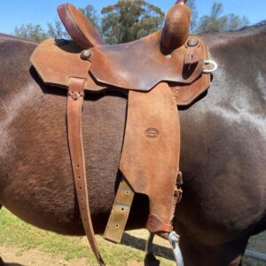 Buy 14 Used Robbie Philips Saddle Online