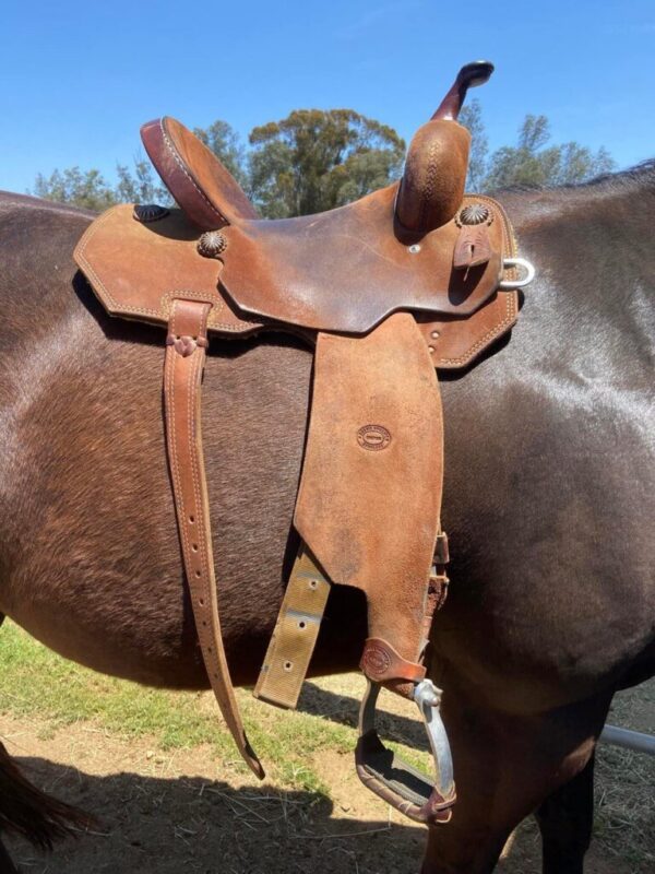 Buy 14 Used Robbie Philips Saddle Online