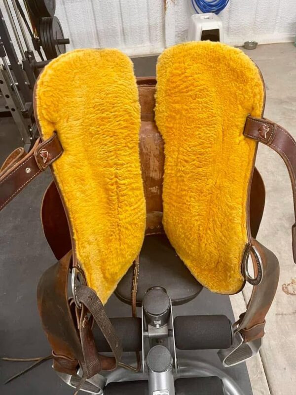 Buy 14.5 Fairely Used Seat Burns saddle 30 MD Online