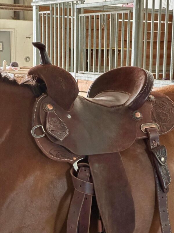 15 Fairely Used Burns saddle