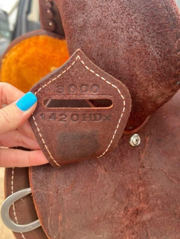 Buy 14 Fairly Used Burns saddle
