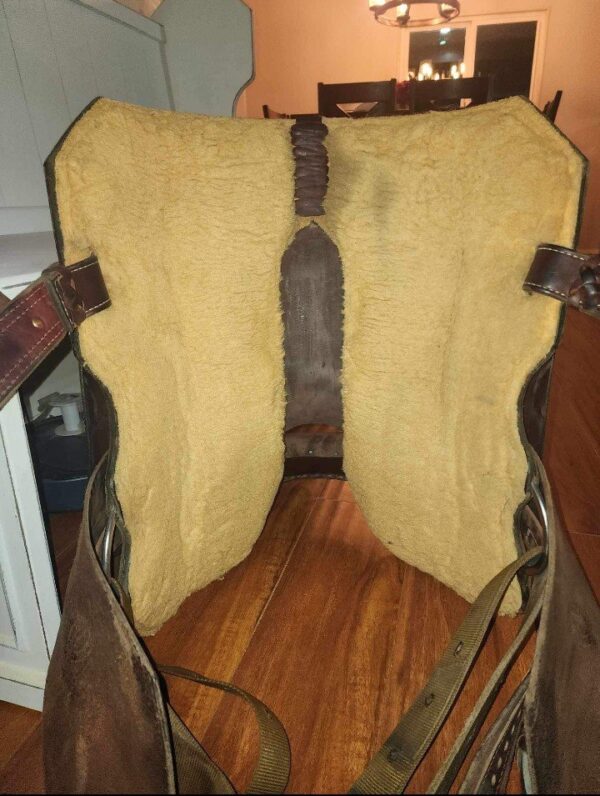 Buy 14 Used Robbie Philips Saddle