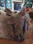 Buy 14 Used Robbie Philips Saddle