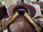 Buy 14 Used Robbie Philips Saddle
