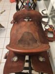 Buy 15.5 Fairly Used Burns saddle
