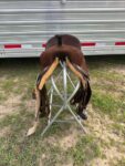 Used 13.5 Robbie Philips Saddle