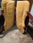 Buy Used 15 Jeff Smith Saddle
