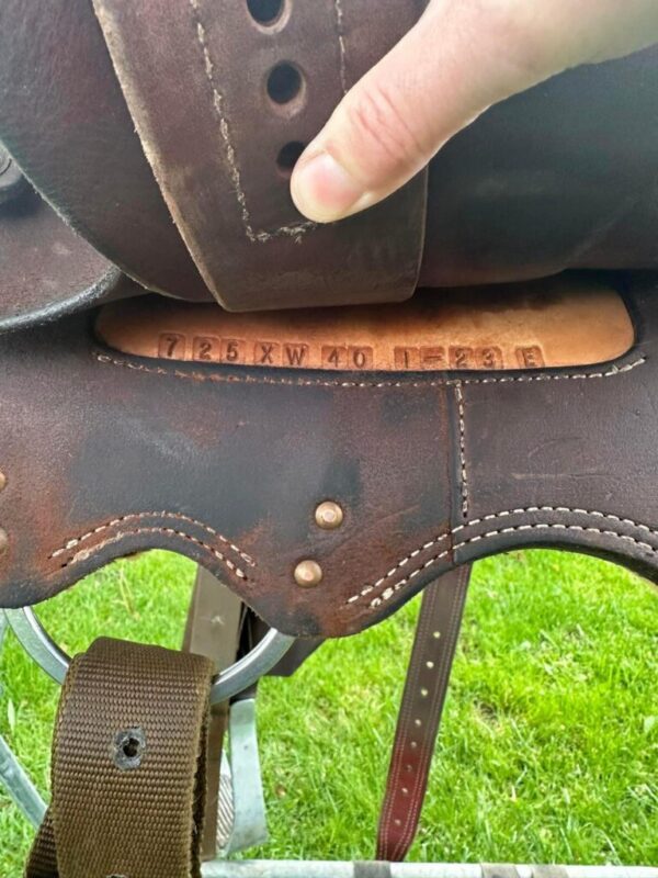 Buy 13.5 Used Robbie Philips Saddle