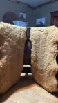 Buy 13.5 Used Robbie Philips Saddle